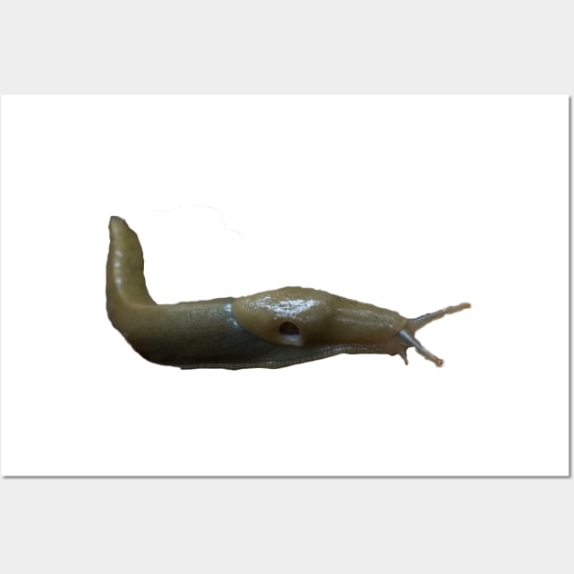 Banana Slug!! Wall Art by stermitkermit